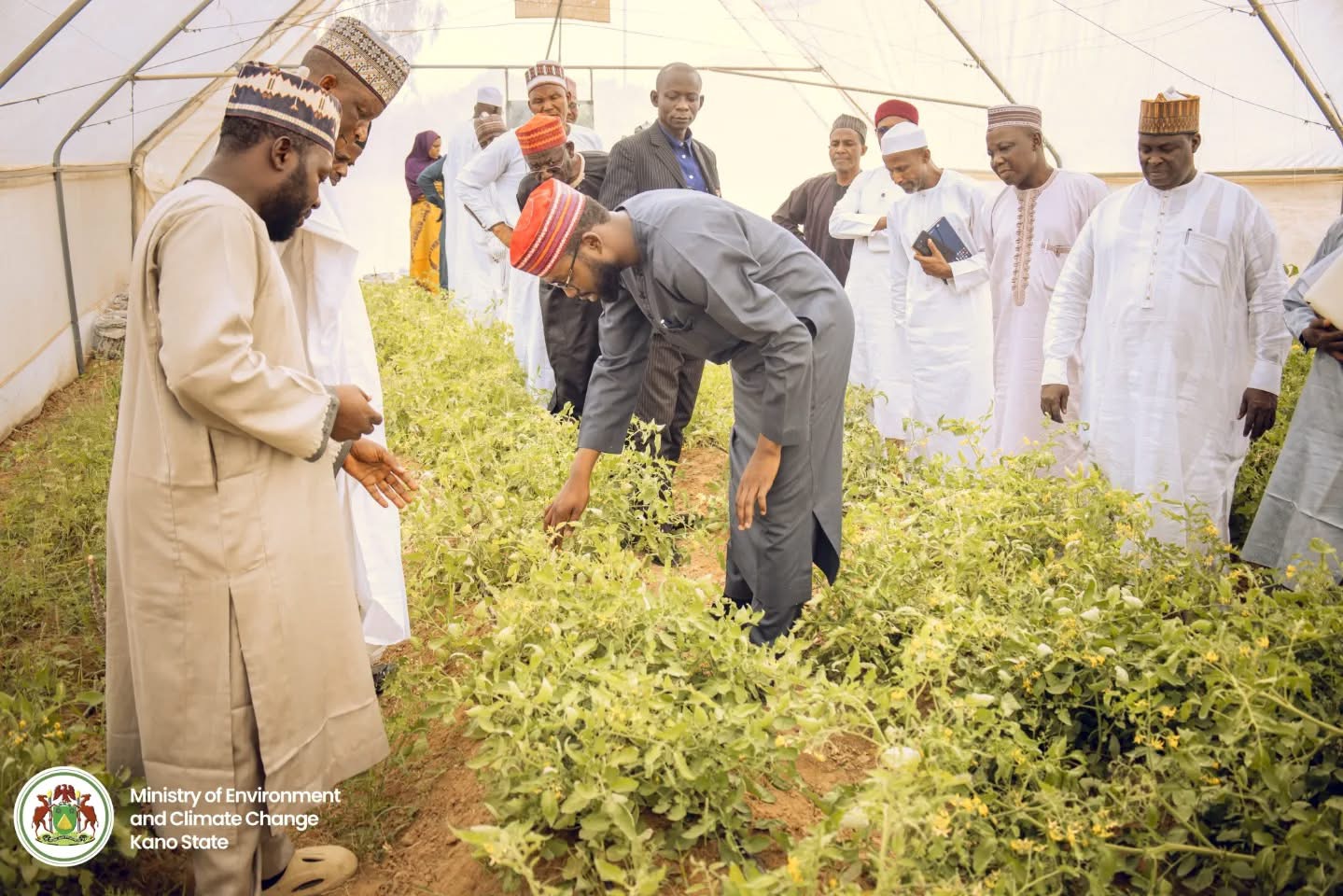 ESTABLISHMENT OF 5NO. GREEN HOUSE TO ABCOA DANBATTA